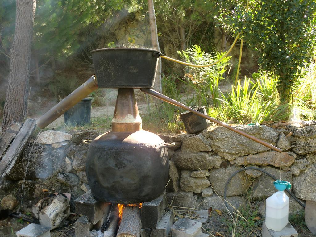 Quinta Do Circo - Serra Da Estrela - Turismo Rural Cortes do Meio Exteriör bild
