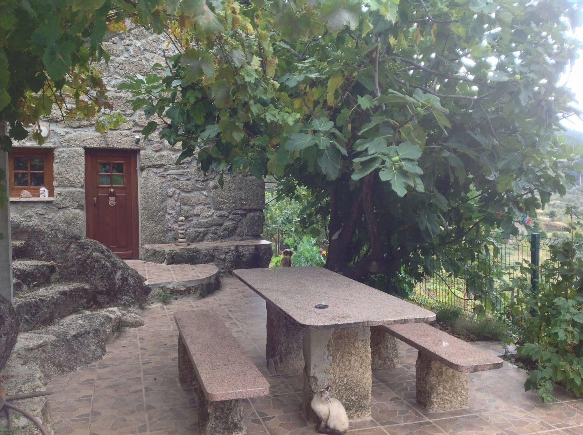 Quinta Do Circo - Serra Da Estrela - Turismo Rural Cortes do Meio Exteriör bild